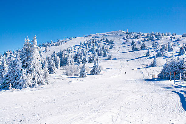 Vibrant panorama of the slope at ski resort Kopaonik, Serbia, people skiing, snow pine trees, blue sky